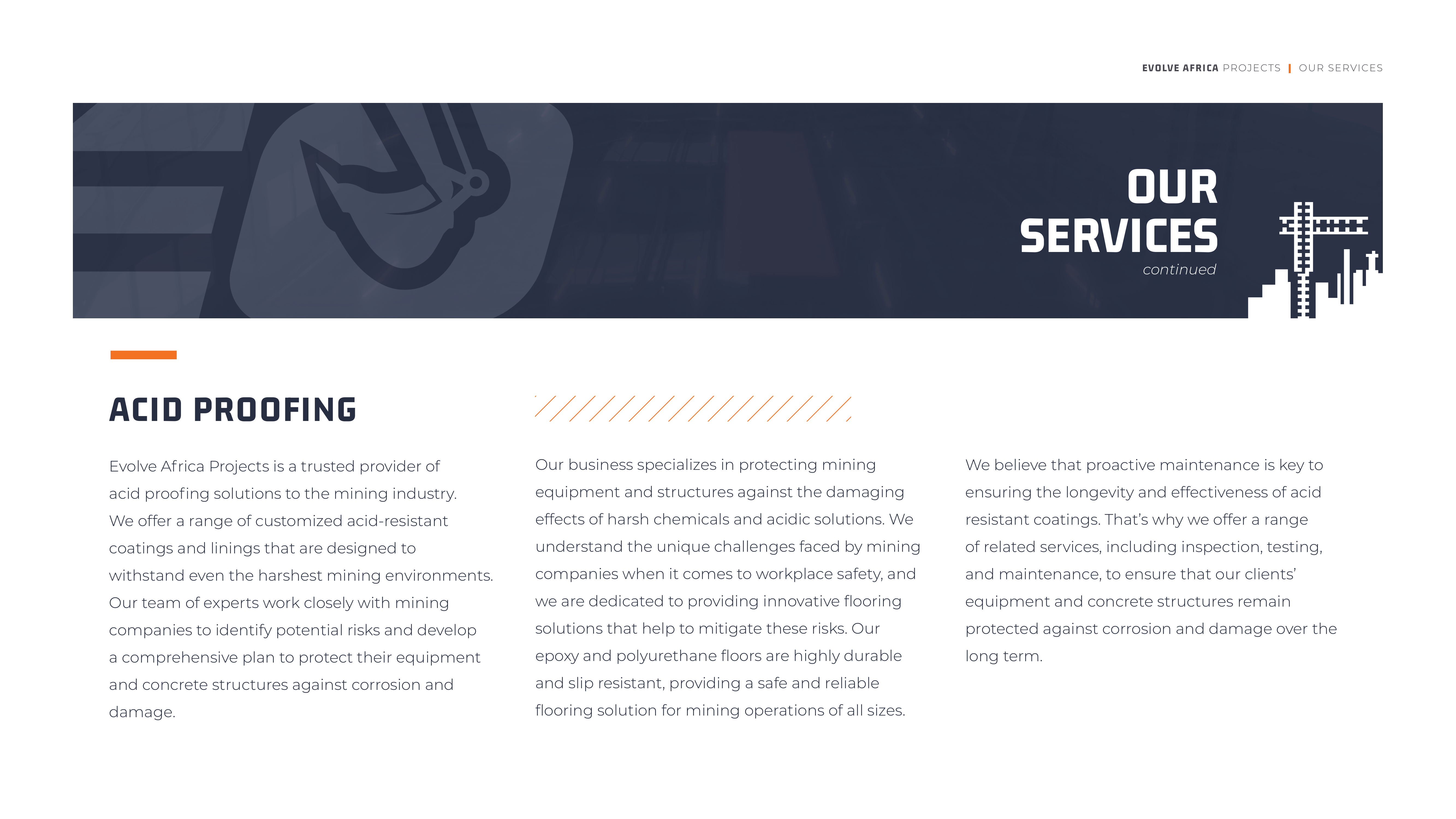 Evolve Africa Company Profile Draft V2-08