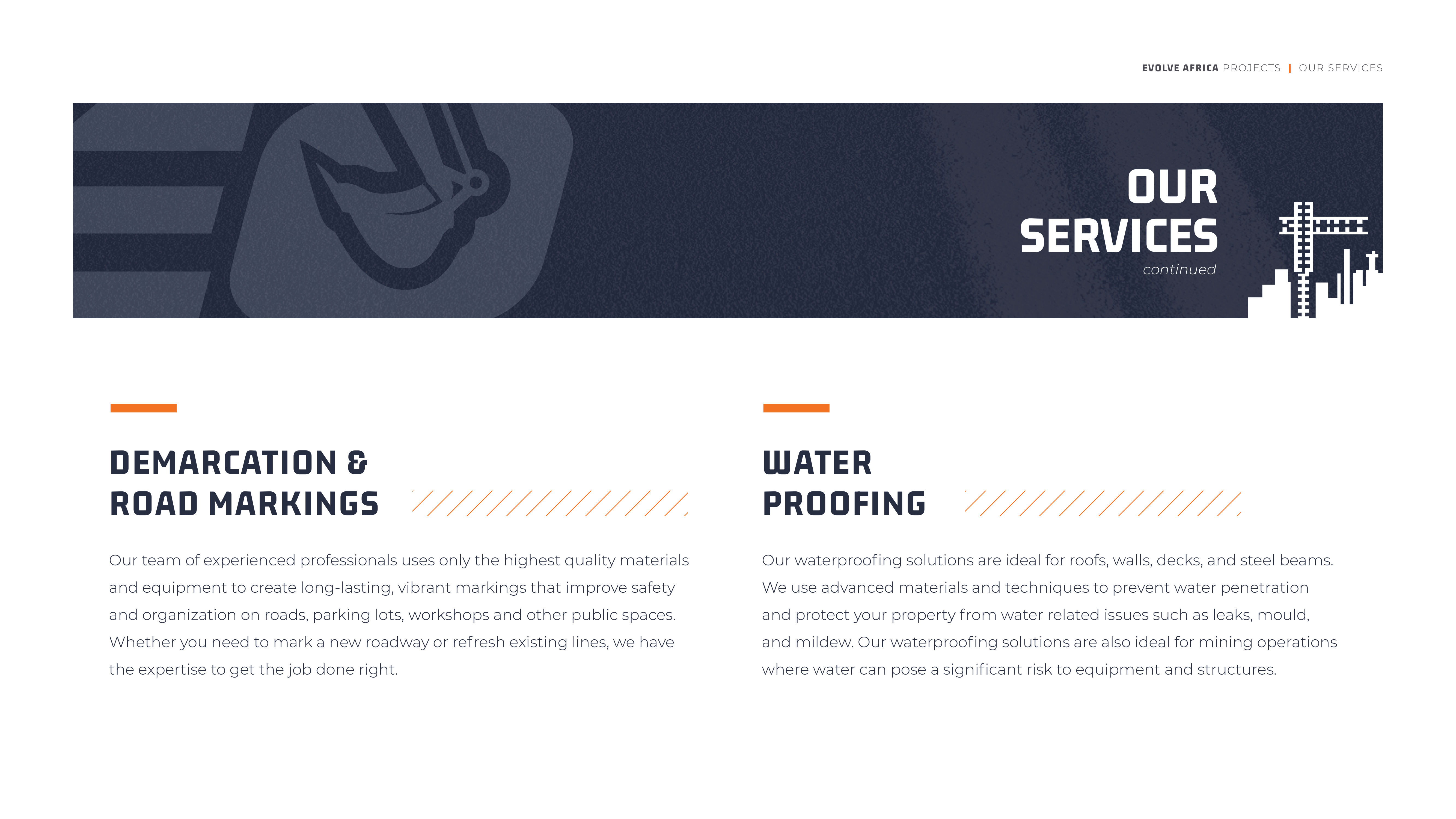Evolve Africa Company Profile Draft V2-09