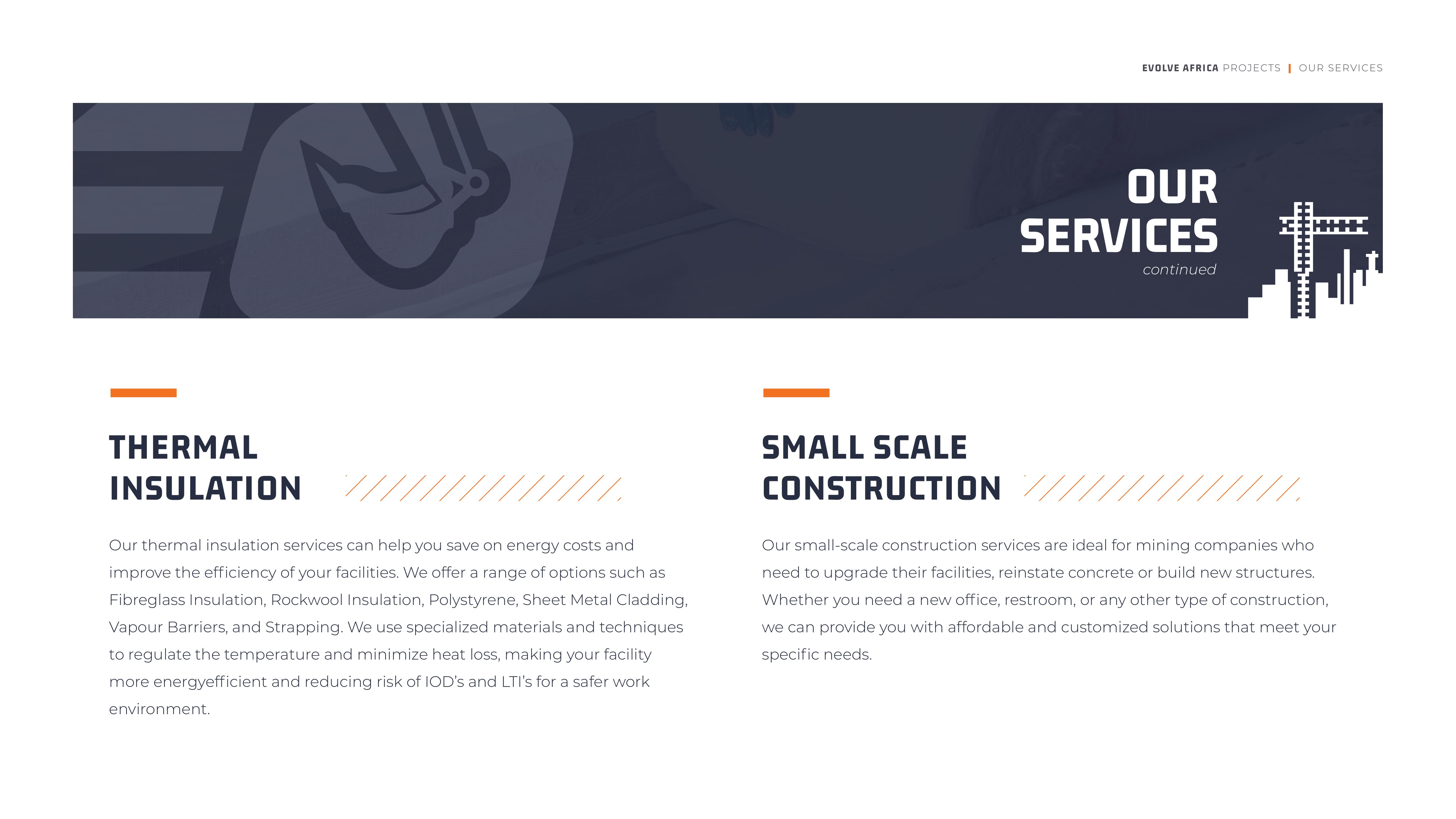 Evolve Africa Company Profile Draft V2-10